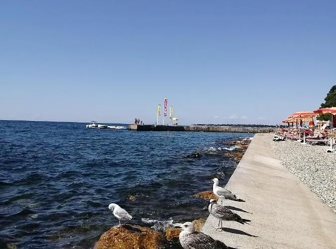 Appartamento Sven-marino *