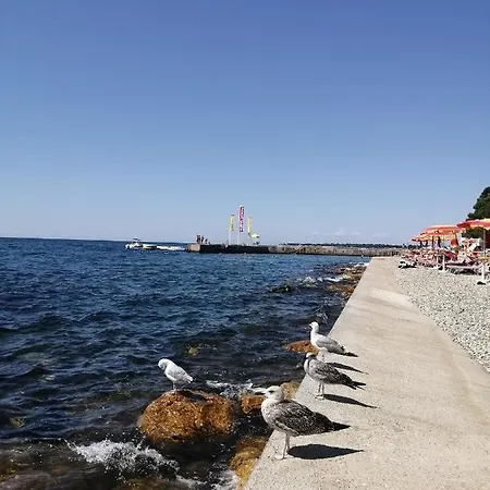 Apartman Sven-marino *